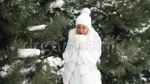 女人有热茶在寒风中取暖冬天的风景视频的预览图