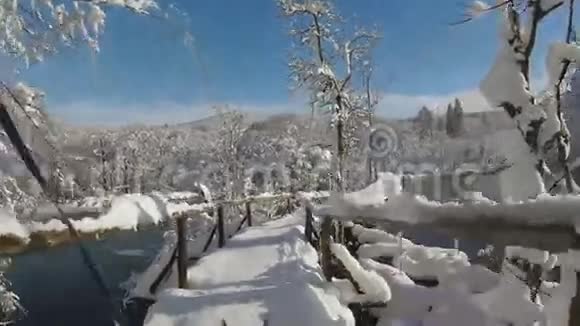 哈士奇狗在白雪皑皑的冬季大桥上奔跑沿着美丽的冬季景观穿过河流视频的预览图