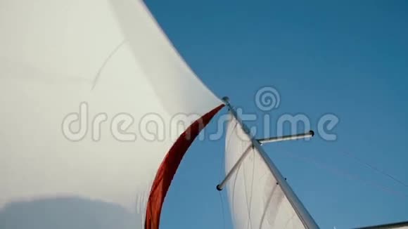 在明亮的夏日里白色和红色的帆在风中飘扬加速帆板视频的预览图