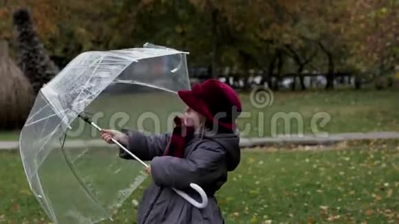 小女孩带着雨伞在雨中在秋天的公园里慢动作视频的预览图