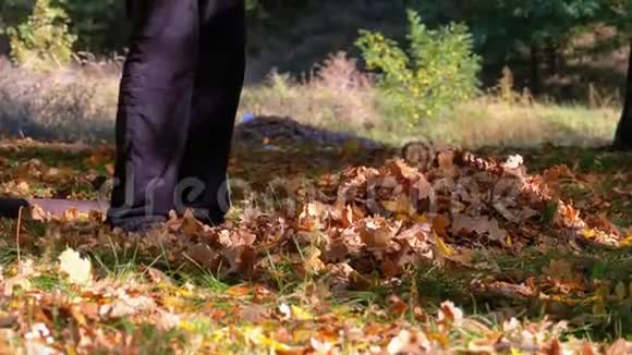 工人用耙子收集秋天公园里的黄色落叶视频的预览图
