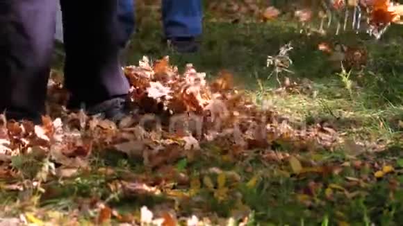 工人用耙子收集秋天公园里的黄色落叶视频的预览图