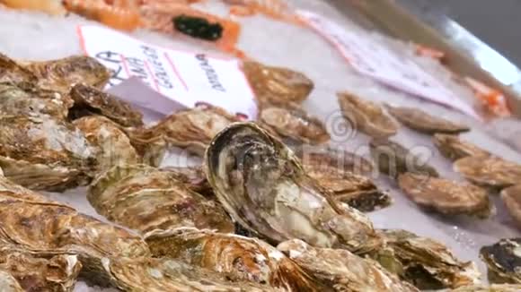 在西班牙的鱼市柜台在冰中大量选择新鲜牡蛎和其他海鲜视频的预览图