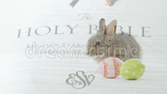 复活节兔子鸡蛋和圣经视频的预览图