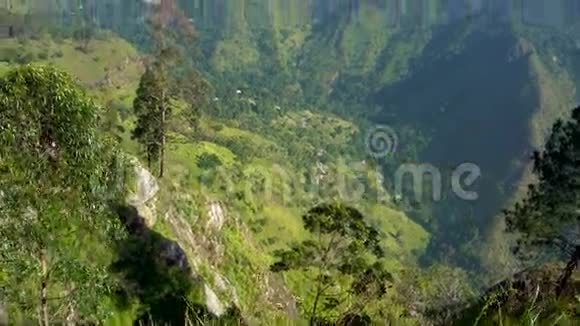 旅行冒险从斯里兰卡的埃拉岩观垂直盘视频的预览图