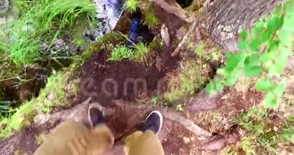 穿着运动鞋的人在森林里行走视频的预览图