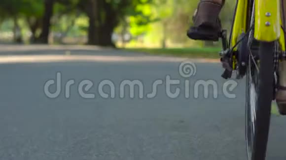 Steadycam在一个热带公园里射杀了一名年轻女子和她的小儿子骑自行车和骑自行车视频的预览图