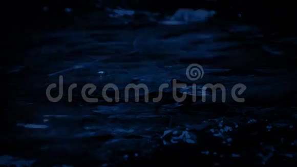 夜雨中的浅林潭视频的预览图