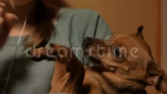 微笑的少女与她的小愤怒玩具狗狗玩4KUHD视频的预览图