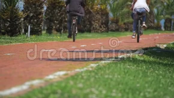骑自行车的人在自行车车道上红色路径与标志自行车和棕榈树慢动作视频的预览图
