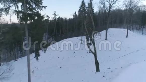 神圣的在诺霍吉维尔尼亚寒冷的冬季森林中在下雪的罗坎蒂库城堡遗址山上被树木覆盖的展开射击视频的预览图