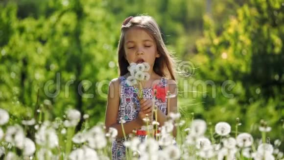 花园里一个女孩和蒲公英的肖像慢动作视频的预览图