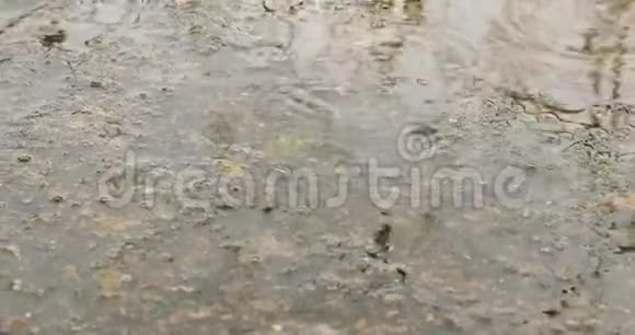 在公园里下雨视频的预览图