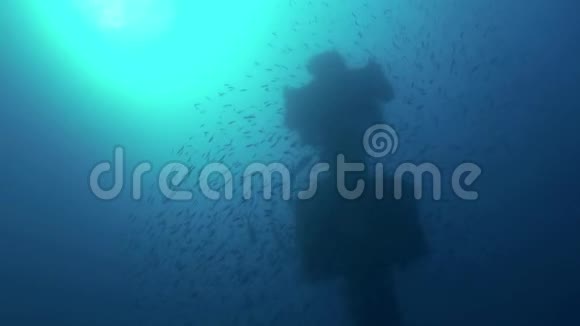 红海埃及鱼汤学派背景下的海难视频的预览图