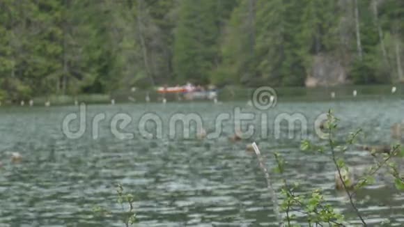 在湖边划船视频的预览图