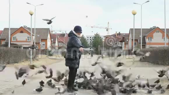 60岁的女人喂鸽子视频的预览图