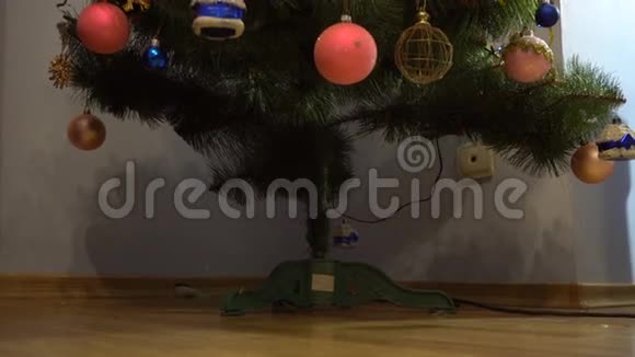 女孩在圣诞树下添加礼物视频的预览图