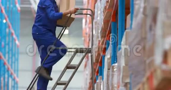 男性仓库工人使用梯子安排纸板箱视频的预览图