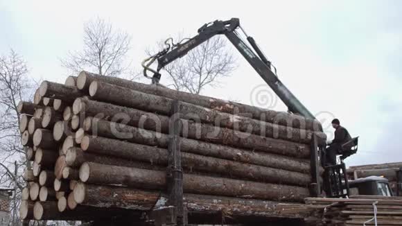 重型装载机在锯木厂从重型卡车上卸下木材视频的预览图