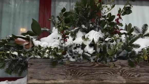 一个覆盖着雪的云杉枝有选择性的聚焦4K视频的预览图