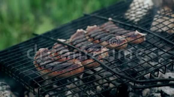 烧烤炉着火了在夏天的野餐中准备烤香肠视频的预览图