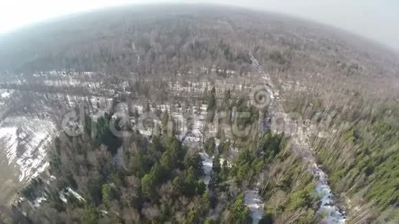 冬季混交林空中全景视频的预览图