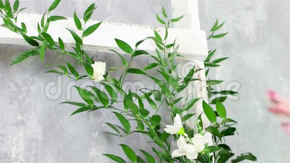 室内自然花卉动机室内植物装饰理念白色木质楼梯装饰视频的预览图