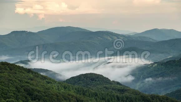 雾蒙蒙的黄昏在绿色森林山谷中的云上移动视频的预览图