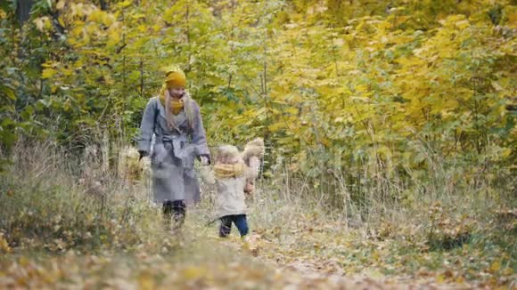 小女儿和妈妈和爸爸在秋天的公园散步玩树叶视频的预览图