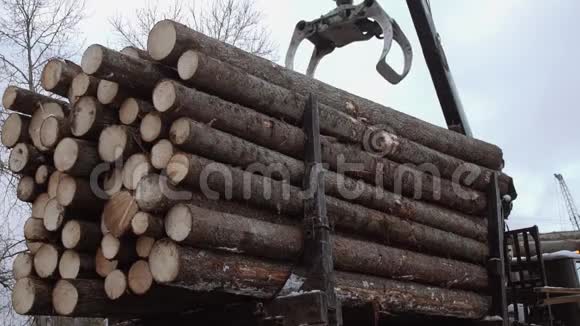 起重机械装载机在锯木厂生产时从重型卡车上卸下木材视频的预览图