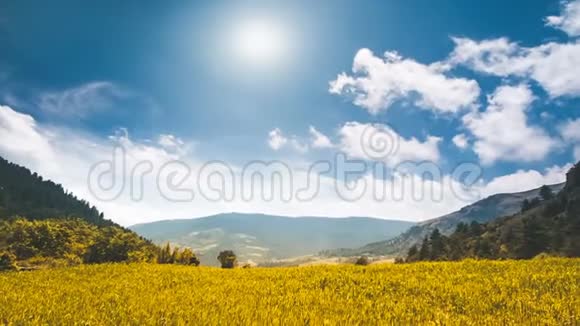 高山峡谷中的黄色田野蓝色多云的天空视频的预览图