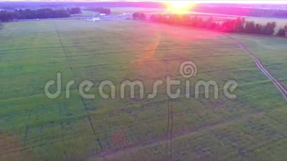 从农场上空升起视频的预览图