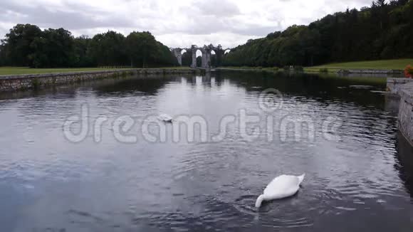 天鹅在一座古老的高架桥前的湖里游泳视频的预览图