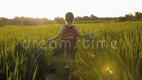 放学回家路上稻田绿草中的孩子视频的预览图
