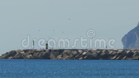 人去灯塔在它周围飞翔一群海鸥在海滩上直布罗陀西班牙视频的预览图