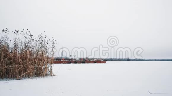 冰封在冰封的湖面上白雪覆盖着芦苇视频的预览图