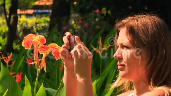 公园里的热带花卉特写镜头视频的预览图