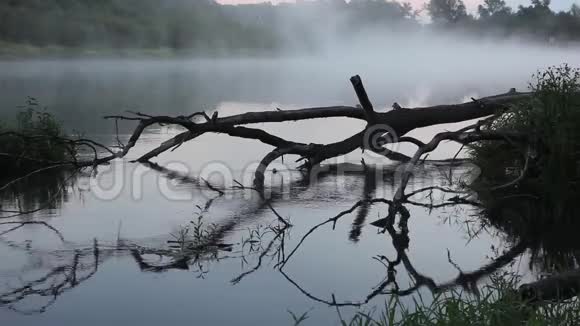 清晨河上的晨雾弥漫视频的预览图