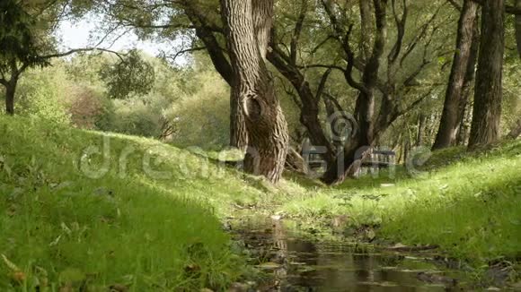 公园里的小溪秋天的白天宽大光滑的小车视频的预览图