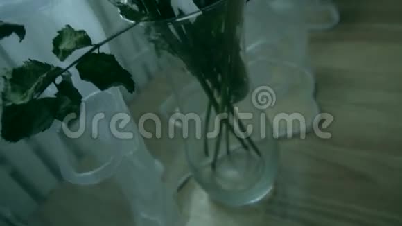 玫瑰站在花瓶里视频的预览图
