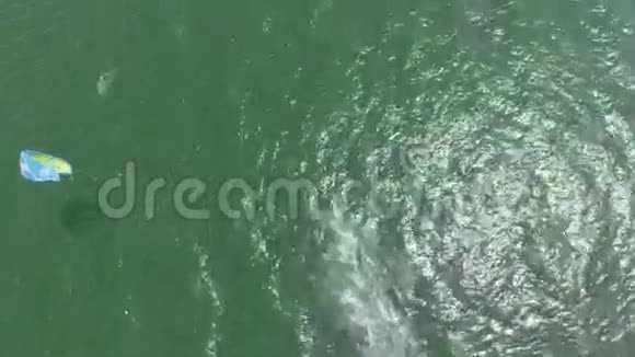 风筝冲浪空中视频的预览图