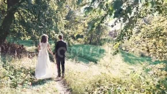 幸福的夫妻在公园里散步慢慢地视频的预览图