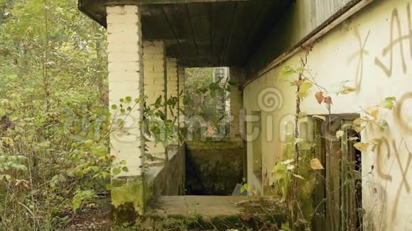 森林中废弃工厂的墙秋天的白天光滑的娃娃射击视频的预览图
