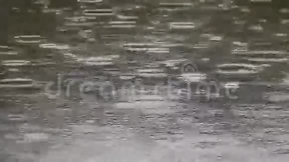 雨滴在水面上转圈视频的预览图