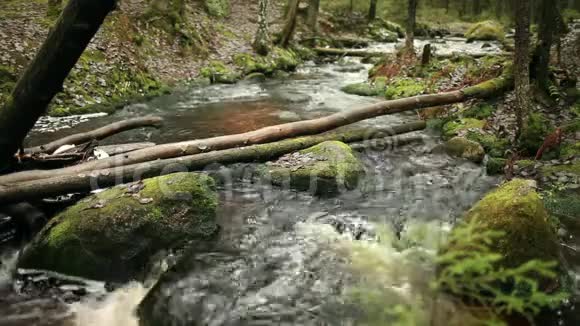 山林中的山河视频的预览图