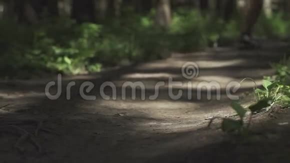 在森林里玩滑板视频的预览图