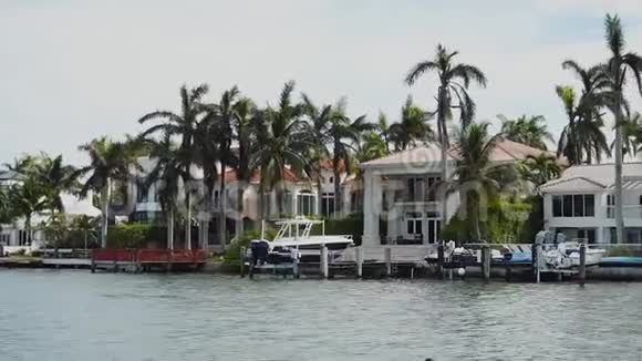 星光岛上的海岸上有许多名人住在高高的棕榈树之间码头上有许多停泊船只的码头阳光明媚视频的预览图
