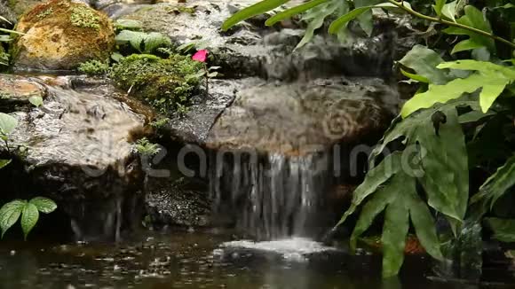 泰国清迈花园中的池塘和瀑布视频的预览图