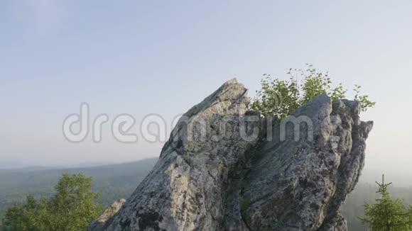 雄伟的落日山中的风景孤树挂在山岩上巨大的岩石和景观视频的预览图