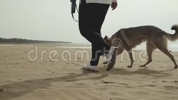 快乐的年轻女子和她的混血狗在海滩上散步动作缓慢视频的预览图